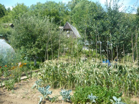 3.miesto - rod. Ľ. Kováčika